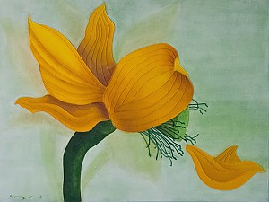 이선희