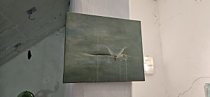 배진희
