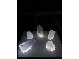 배진희