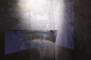 배진희