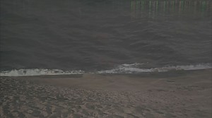배진희