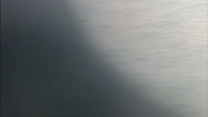 배진희