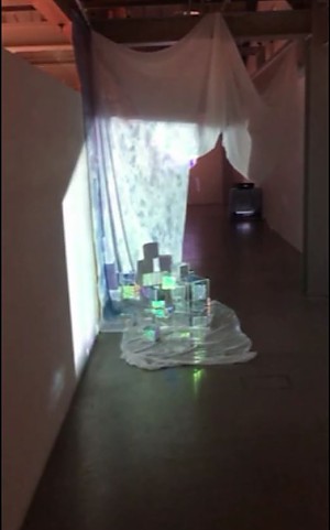 배진희