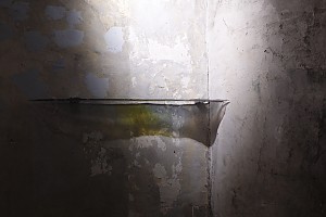 배진희
